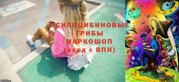 индика Алзамай