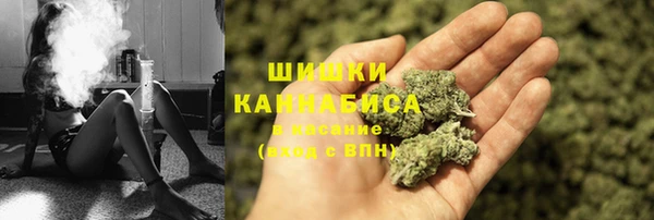 индика Алзамай
