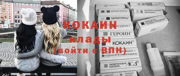индика Алзамай