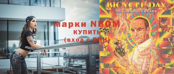 индика Алзамай