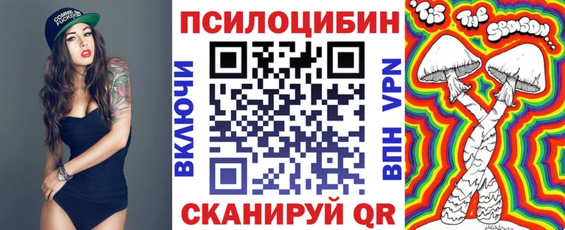 Купить закладки  Курган  Галлюциногенные грибы Cubensis 